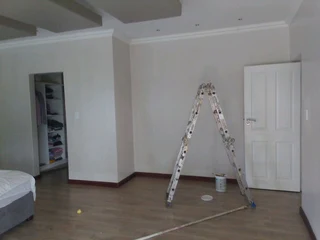 Professional Painters