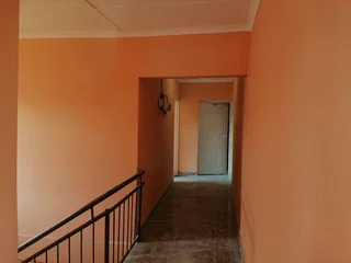 PROFESSIONAL PAINTERS