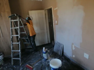 PROFESSIONAL PAINTERS