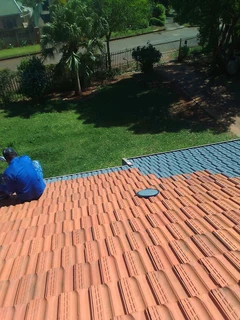 PROFESSIONAL PAINTERS