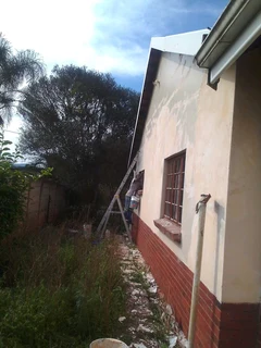 PROFESSIONAL PAINTERS