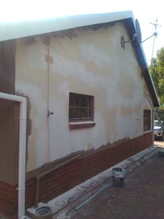 PROFESSIONAL PAINTERS