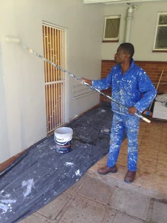 Professional Painters