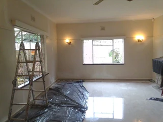 PROFESSIONAL PAINTERS