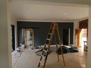 Professional Painters