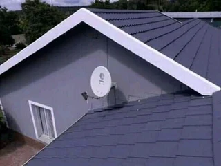 Professional Painters