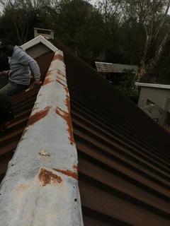 Professional Painters