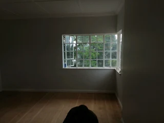 PROFESSIONAL PAINTERS