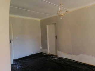 PROFESSIONAL PAINTERS