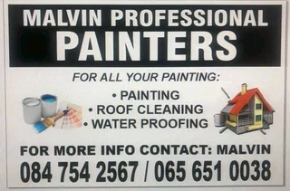 Professional Painters