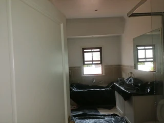 PROFESSIONAL PAINTERS