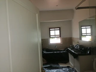 PROFESSIONAL PAINTERS