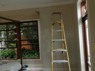 PROFESSIONAL PAINTERS