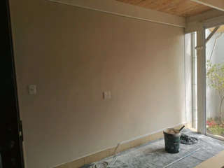 Profesional Painters