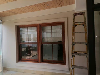 PROFESIONAL PAINTERS