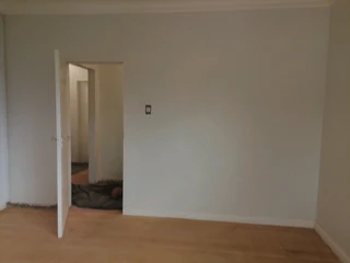 Professional Painters