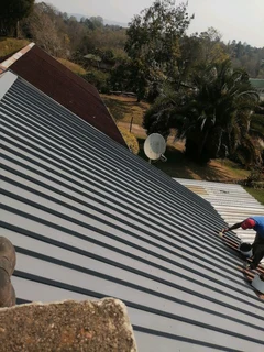 PROFESSIONAL PAINTERS