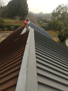 Professional Painters