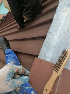 PROFESSIONAL PAINTERS