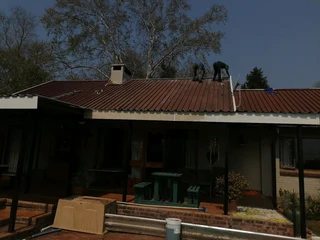 PROFESSIONAL PAINTERS