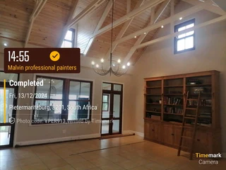 Professional Painters