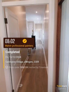 PROFESSIONAL PAINTERS