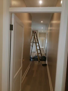 PROFESSIONAL PAINTERS