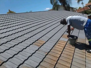 PROFESSIONAL PAINTERS