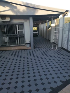 PROFESSIONAL PAINTERS