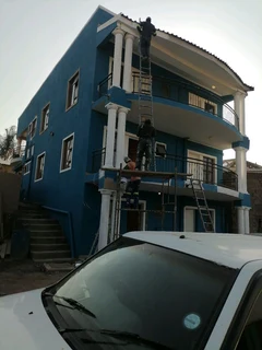 PROFESSIONAL PAINTERS