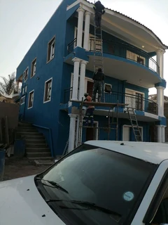PROFESSIONAL PAINTERS