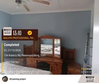 PROFESSIONAL PAINTERS