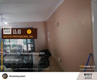 PROFESSIONAL PAINTERS