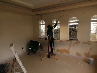 PROFESSIONAL PAINTERS