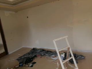 Professional Painters