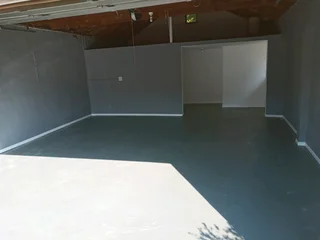 PROFESSIONAL PAINTERS