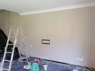 PROFESSIONAL PAINTERS