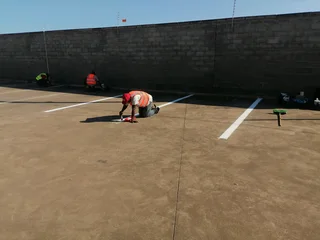 PROFESSIONAL PAINTERS