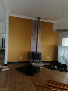 PROFESSIONAL PAINTERS