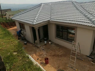 PROFESSIONAL PAINTERS