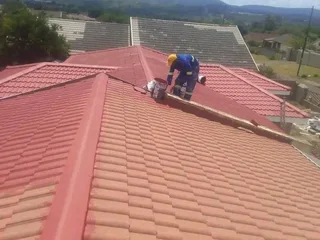 Professional Painters