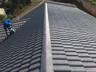 PROFESSIONAL PAINTERS