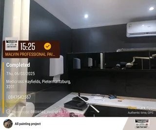 PROFESSIONAL PAINTETS