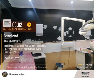 PROFESSIONAL PAINTETS