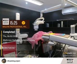 PROFESSIONAL PAINTETS