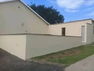 PROFESSIONAL PAINTERS