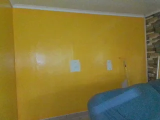 PROFESSIONAL PAINTERS