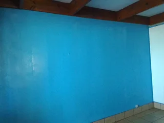 PROFESSIONAL PAINTERS
