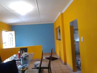 PROFESSIONAL PAINTERS