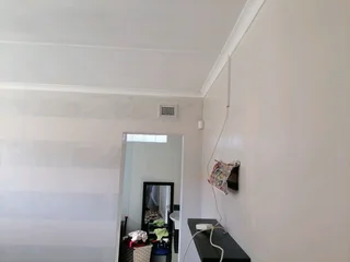 Professional Paintets